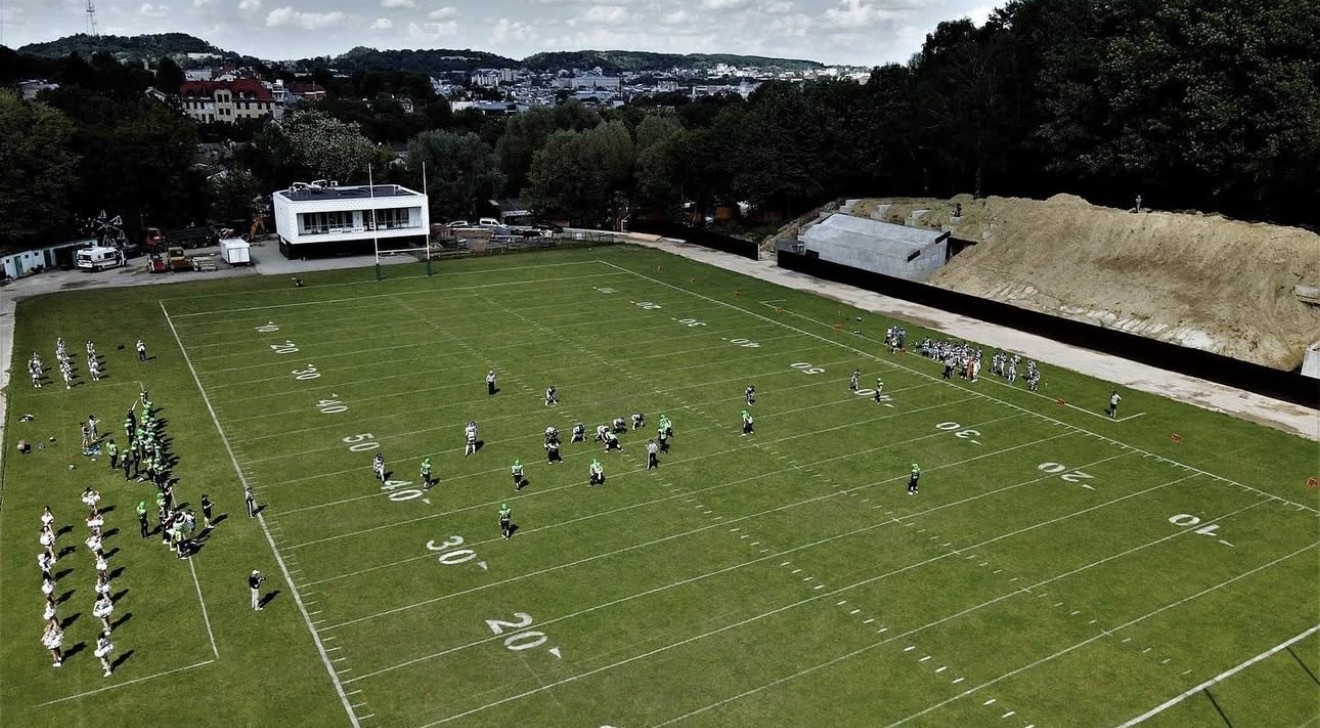 Професійний підхід